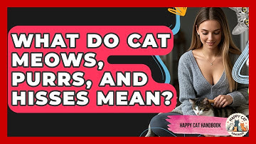 What Do Cat Meows, Purrs, And Hisses Mean? - Happy Cat Handbook