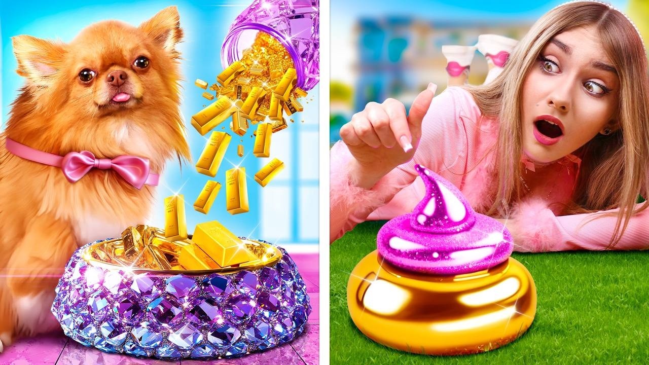 A milliomos család egy szegény kutyát fogadott örökbe! Elveszett kutyát találtunk egy konténerben