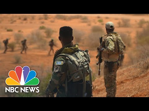 Video: Coat of arm ng Somalia