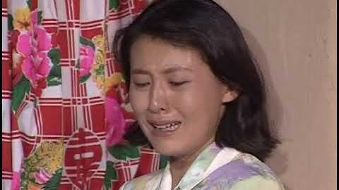 《山野》第20集：工厂落成盼圆满 情途未卜待新章 / 主演：王琳、赵勇刚、吴甫汕 / 中国大陆 / 2000年