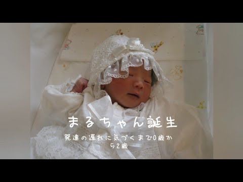 自閉症 知的 発達の遅れに気づいたとき 赤ちゃんのときの様子 Youtube 自閉症 知的 発達の遅れに気づいたとき 赤ちゃんのときの様子 Youtube