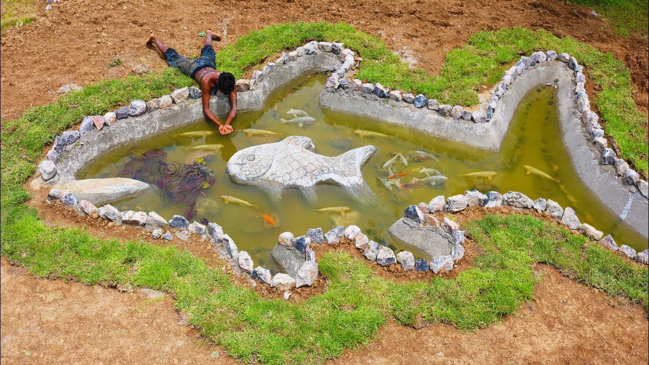 Build Fish Pond And Raising 