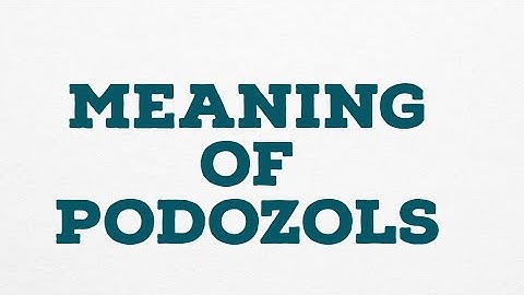MEANING OF PODOZOLS