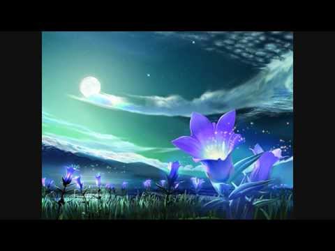 Nylon Beat - Like a fool