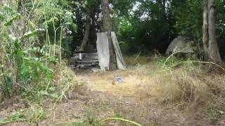20150702 104844 Курсавка Южный выезд Лесополоса Обзор стана Центраферная съемка 10 кадров в