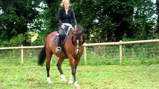 Download Lagu Like a diamond in the sky x MP3