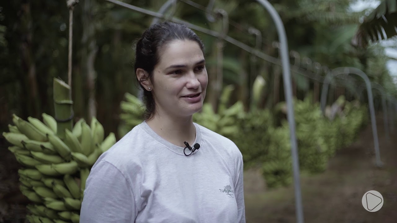 TECNOLOGIA NA  PRODUÇÃO DE BANANA NO TOCANTINS