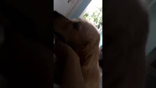 Daily snaps 2/5/18