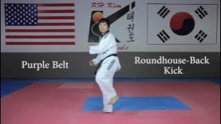 KH Kim Taekwondo Basic Kick Tutorial