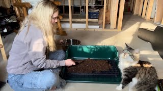 Planting The Rest Of My Annual Seeds: Thanks Alma For My New Tray \& Tags 🌸🥰