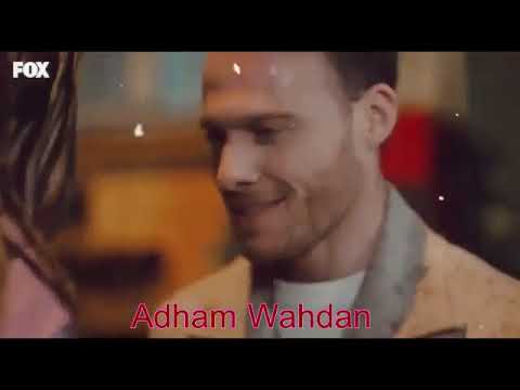 هانى شاكر بنت قلبى