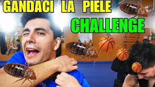 🏀 DAI LA COȘ sau îți BAGI GÂNDACI LA PIELE ❗ 😵 CHALLENGE EXTREM