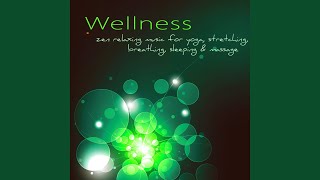 Healing Touch (Spa Music)