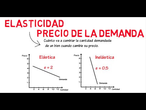 Demand elasticity | Chapter 6 - Microeconomics