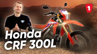 HONDA CRF 300L - Ідеальний Для Новачків | Мотоогляди