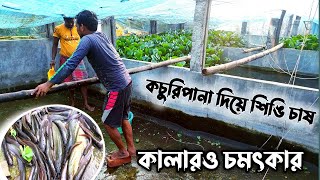 সব ধরনের খরচ ( খাবার,চারা, ট্যাঙ্ক,এয়ারেশন)  বাঁচিয়ে কিছুটা পুকুরের পরিবেশ তৈরি করে মাছ চাষ