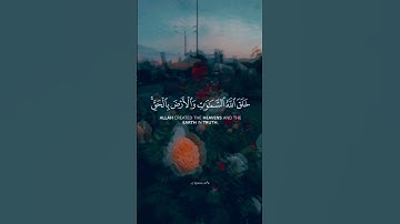 عبدالرحمن مسعد | قرآن كريم تلاوة هادئة