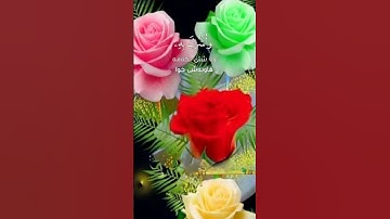 #شاشه سوداء)قران كريم☘️القارئ آبوبكر الشاطري🌷حألات-ستوريات -سلاميه☘️