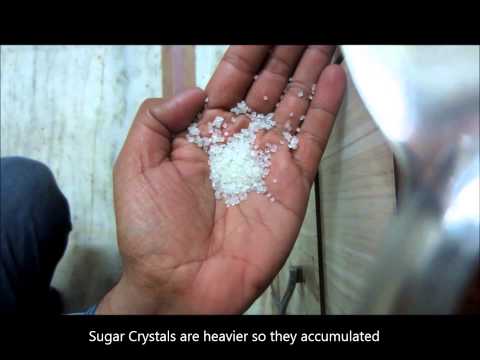 Como remover Formigas De Sugar?