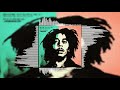 Bob Marley - Sun Is Shining (Phibes Remix) (Official Audio) | #DrumandBass #DrumandBassMusic #EDM
