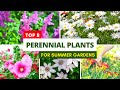 8 Gorgeous Perennial Plants For Summer Gardens