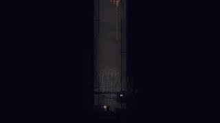 Guia definitivo de como não jogar rain world