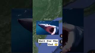 Giant Monster Shark Found | Google Earth and Google Maps | #earth #status