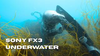 Sony FX3 Underwater: My Seafrogs Housing Setup