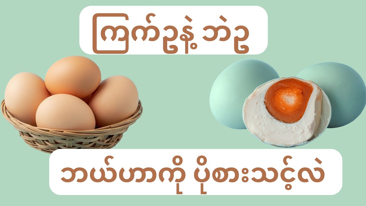 ကြက်ဥနဲ့ ဘဲဥ ဘယ်ဟာကို ပိုစားသင့်လဲ - Chicken Egg and Duck Egg 