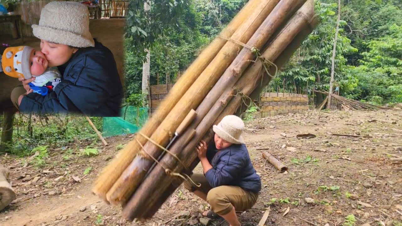 Single mother went to the forest to pick up huge bundles of firewood to ...