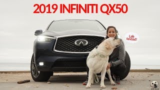 2019 Infiniti QX50: Andie the Lab Review! #Infiniti #LabTESTED #AndietheLab screenshot 1