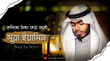 অন্তর শীতল করা মোহনীয় কণ্ঠে সূরা ইয়াসিন |  Surah Yasin | Heart Touching Emotional tilawat سورة يس