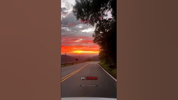 Thumbnail of That's My Way -  Edi Rock