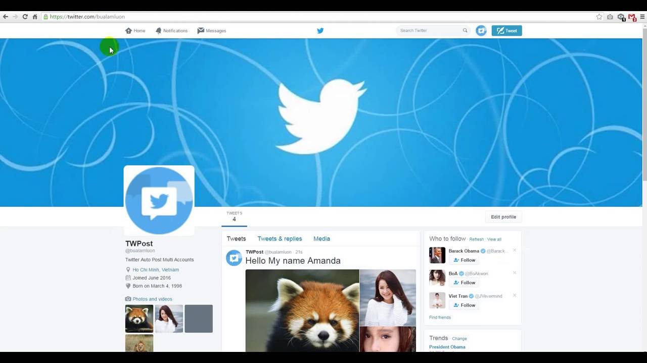 Twitter Auto Post Multi Accounts - Guide Using - YouTube