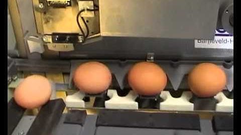Nuovo Egg Printer - Egg-Jet SOR1 on Mobanette