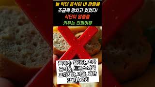 식단이 류마티스 관절염 염증에 미치는 실제영향 항염증 식단 연구 분석쇼츠 #시니어건강 #음식 #영양식