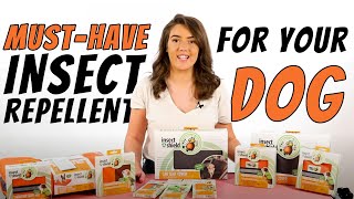 The Must-Have Insect Repellent Products For Your Dog- Insect Shield Pet Owners & Dog Groomer