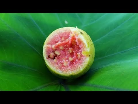 Video: Duriani është një frut mbretëror