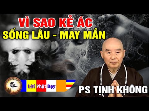 Video: Tại Sao Những Kẻ Ngu Lại May Mắn