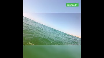 قال تعالى( ربي هب لي حكما والحقني بالصالحين ) قارئ إسلام صبحي سطاتي واتساب من أعماق البحر