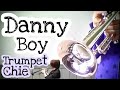 ダニーボーイ / Danny Boy【無伴奏トランペットソロ】(Trumpet Cover)