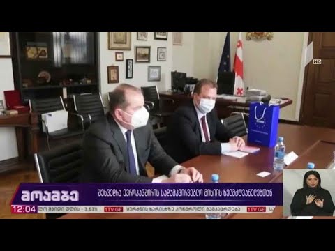 შეხვედრა ევროკავშირის სადამკვირვებლო მისიის ხელმძღვანელებთან
