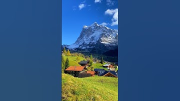 📍Grindelwald, Switzerland 🇨🇭Follow for daily Swiss Content 🇨🇭