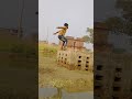 Back filip stunt vidio telent Indian boy #killer boy Rahul #shorts Back filip stunt #youtubeshorts