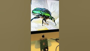 iMac 2017 upgraded w/ SSD@AlpharettaProComputer