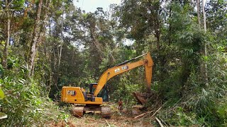 Excavator CAT Buka Jalan Menerabas Hutan Belantara & Banyak Rotan #exsavator ##manismata