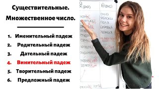 Урок 3. Винительный падеж. Множественное число || Существительные. Падежи.