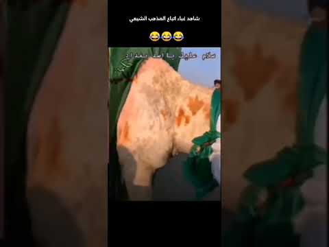 اسد بغداد المسجون ياشيعه ينبشونه مأخرتو هذا الي تاخذون حاجتكم منه
