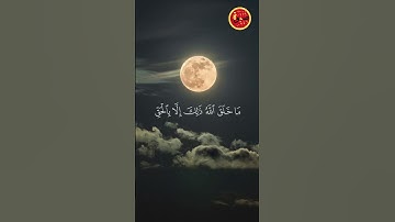 سورة يونس الآية  5 / Surah Yunus Ayat 5