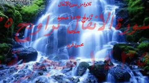 القارئ محمود فريدوتلاوة من أول سورة الانفال وحتى الاية 60 تراويح 1435هجرية